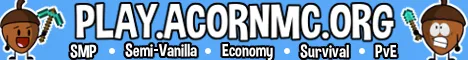 Acorn Minecraft server banner