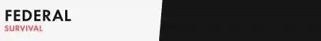 Federal Network Minecraft server banner