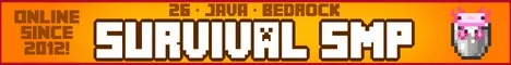 InsanityCraft Minecraft server banner